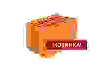Камень керамический 250х375х219 PTH25М 10,53 НФ, м100 Wienerberger (60шт/под)
